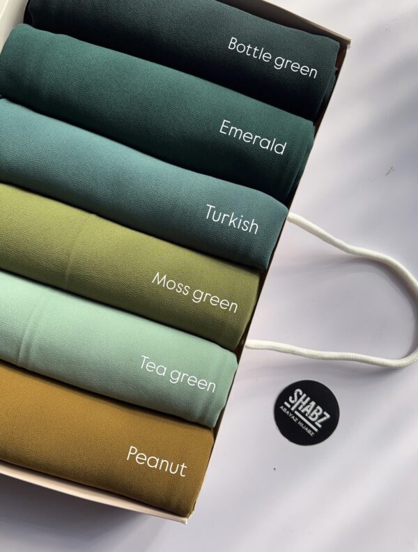 SHABZ GEORGETTE HIJABZ VOL 1