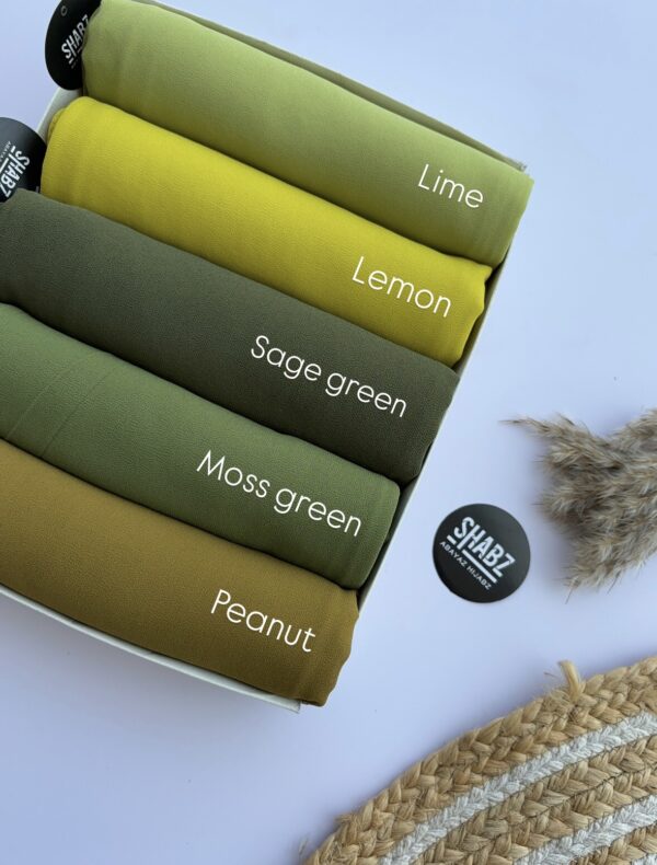 MALAYSIAN GEORGETTE HIJABZ